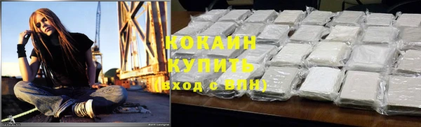 шишки Медногорск