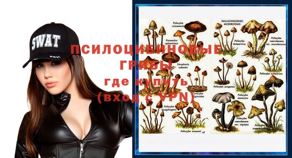 шишки Медногорск