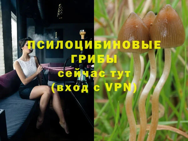 COCAINE Анжеро-Судженск