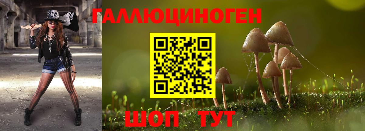 Псилоцибиновые грибы MAGIC MUSHROOMS Волжский